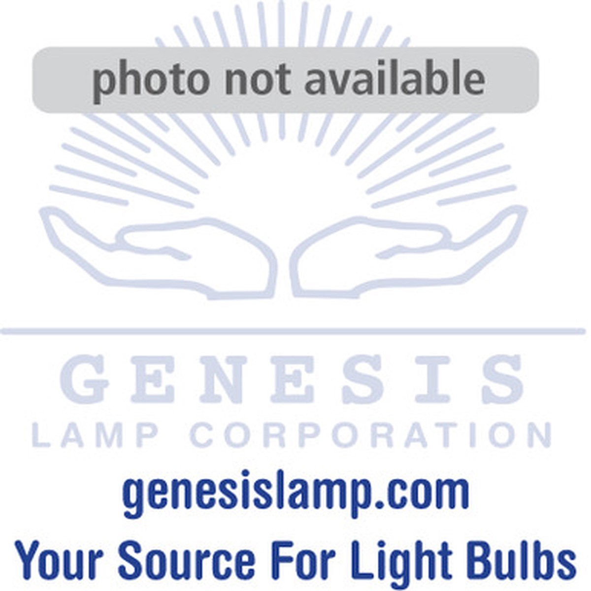 46 Miniature Light Bulb (10 Pack)