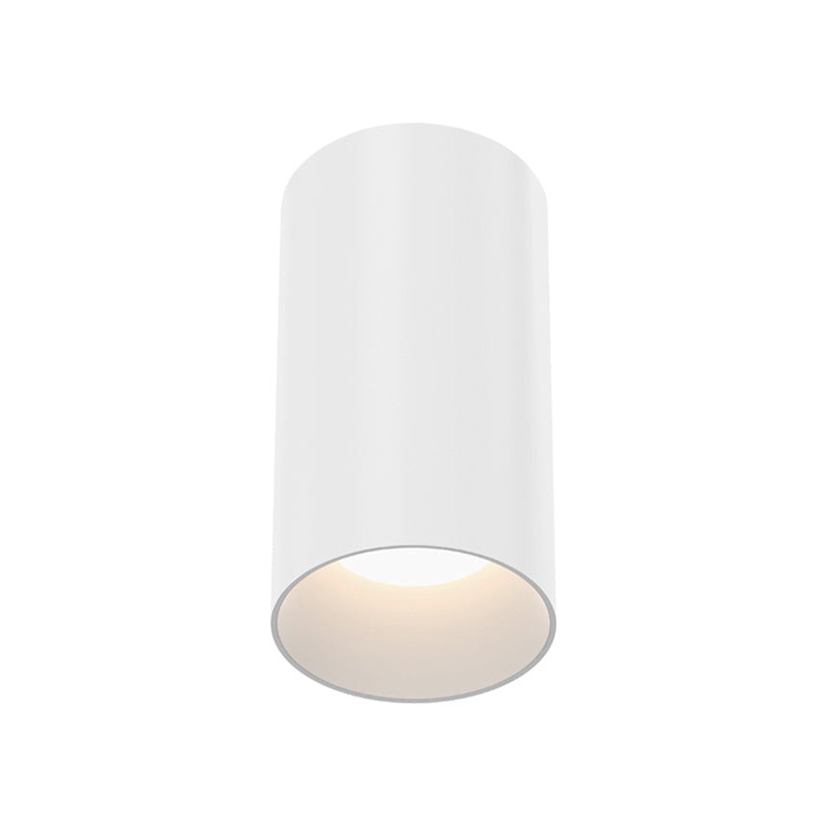 Best Seller Whiskey LED Flushmount White