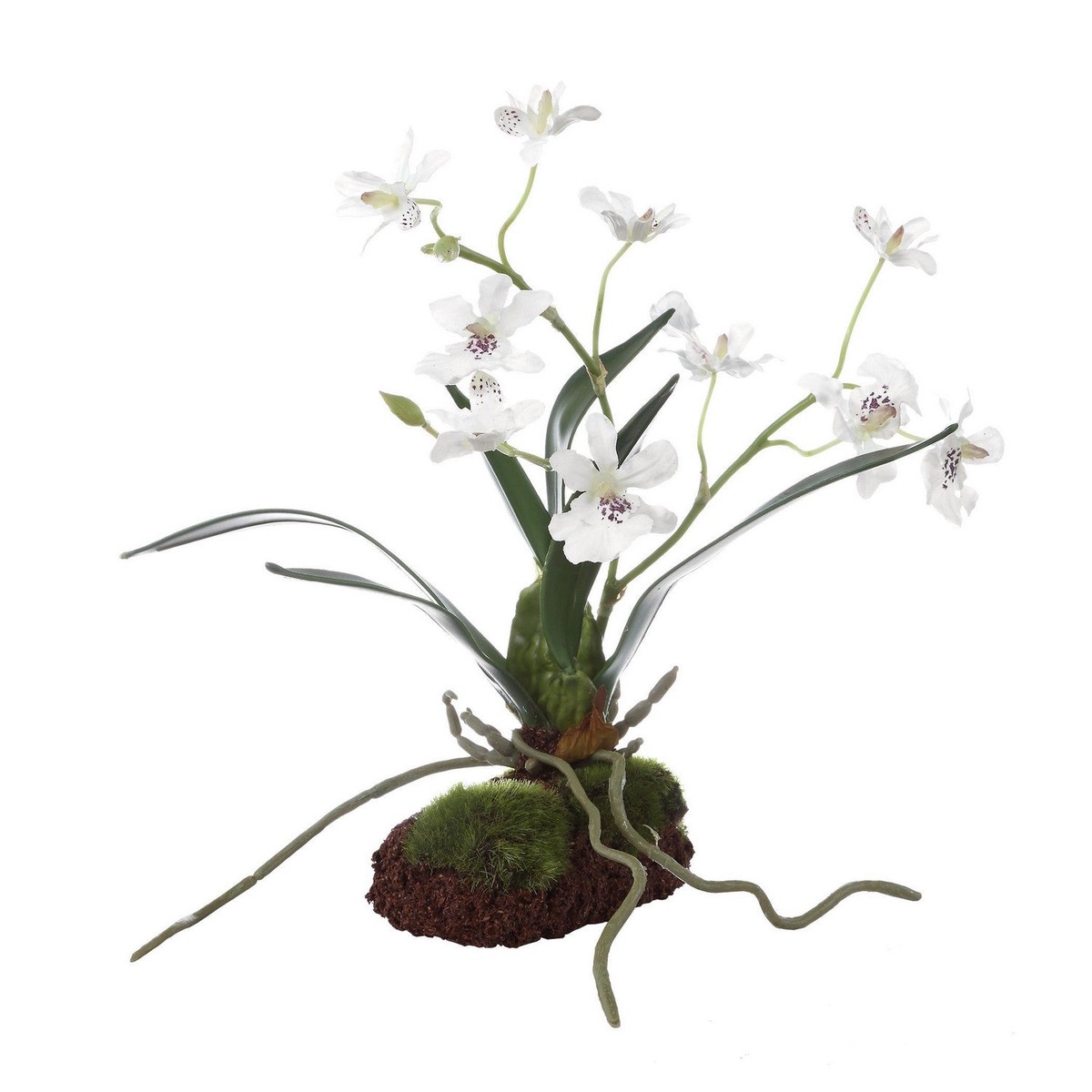 Clovis Orchid Drop-In White