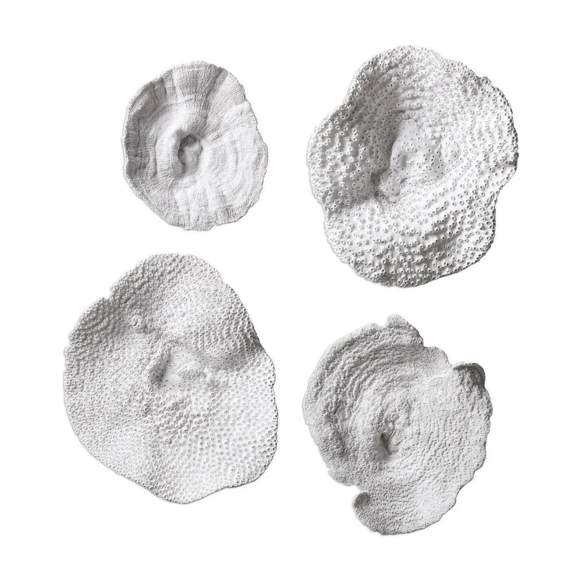 Sea Coral Wall Art