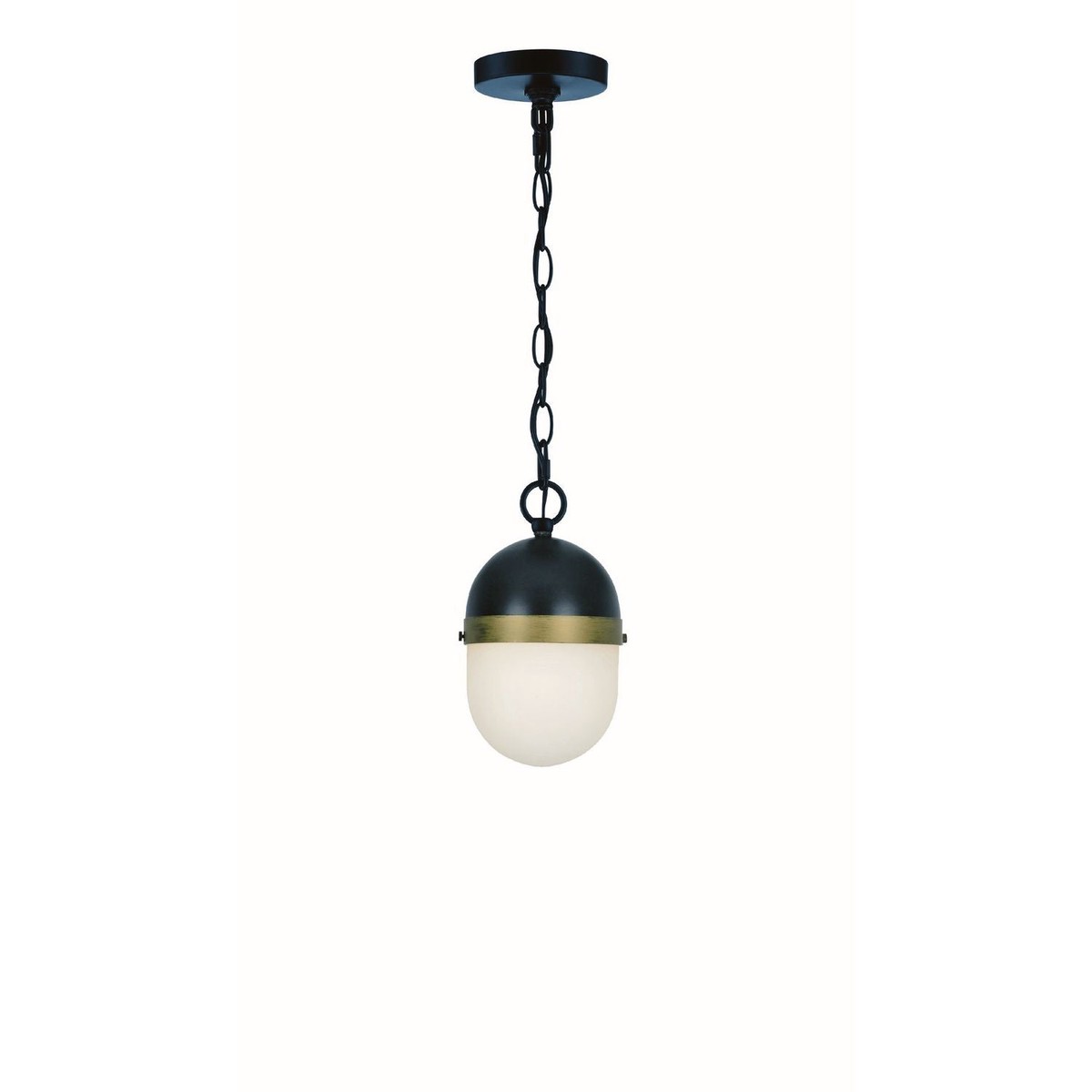 Capsule Outdoor Pendant