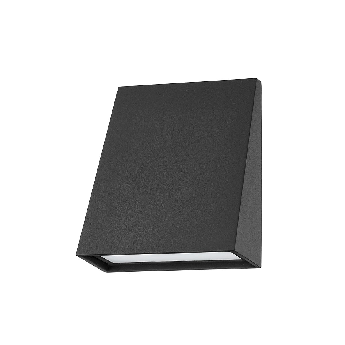 Roy LED Outdoor Wall Sconce