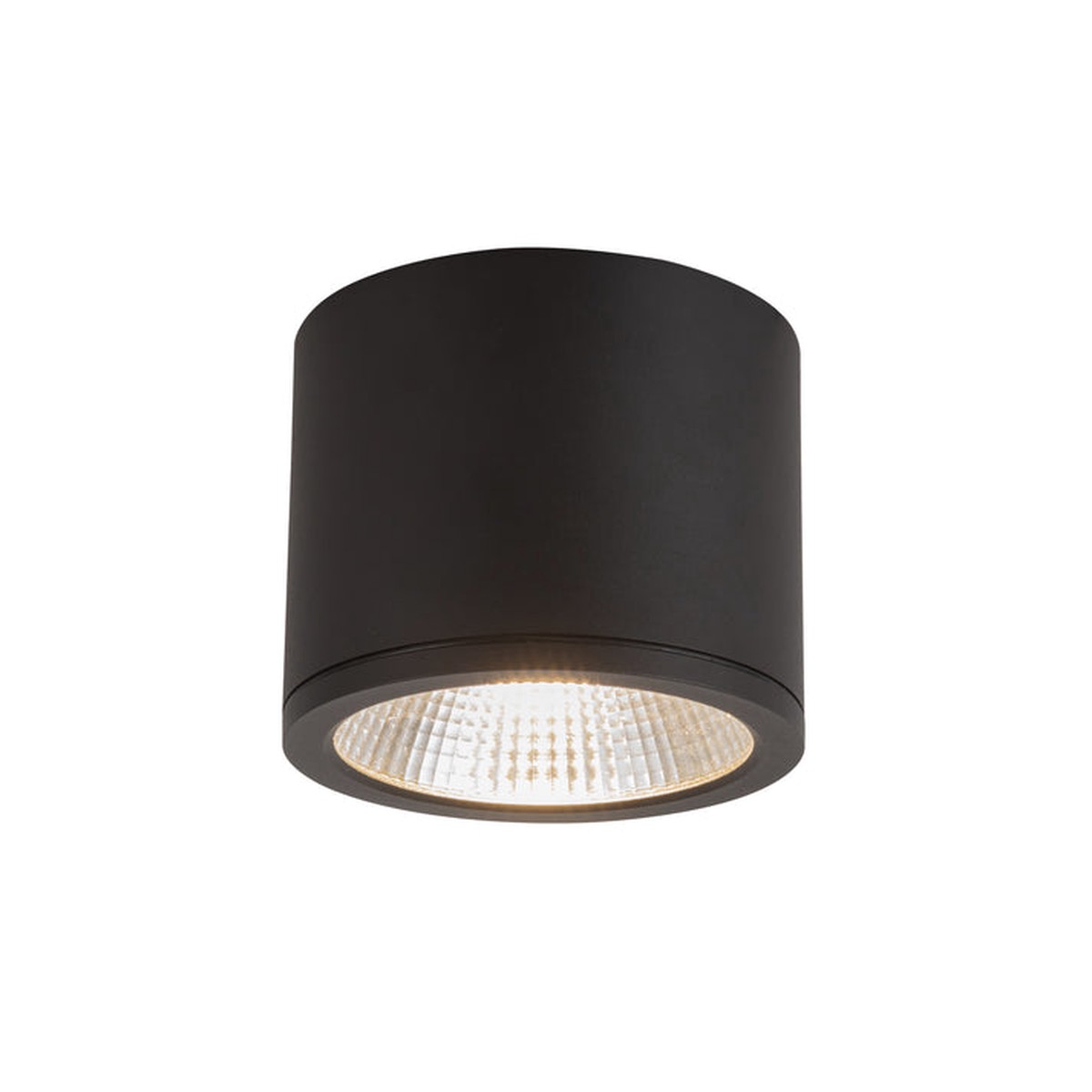 Nordic LED Outdoor Ceiling Mount