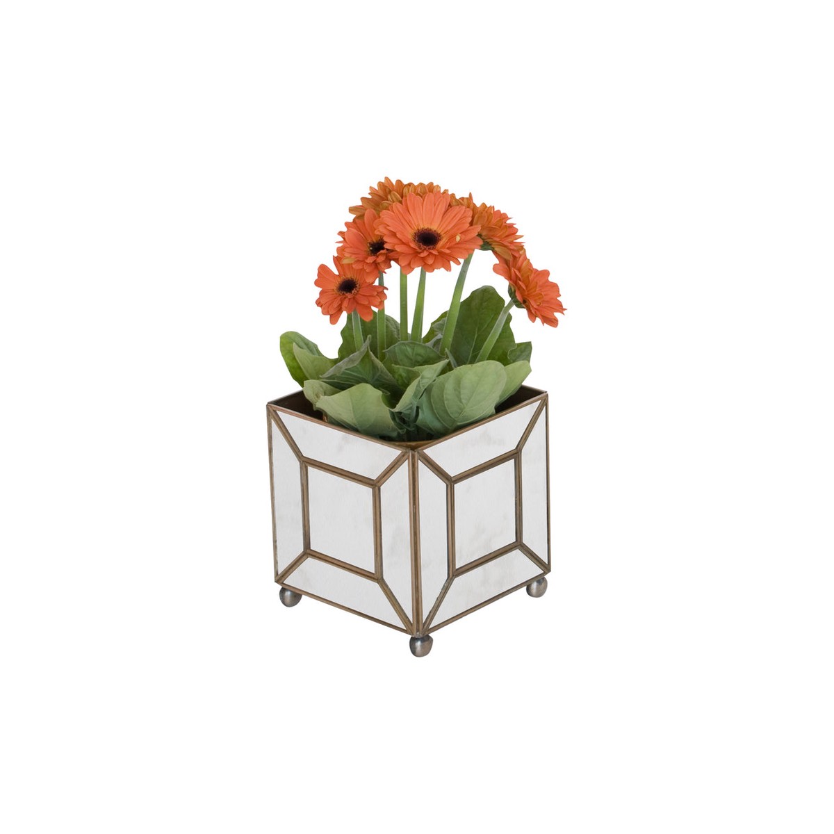 MTPAMC Square Planter