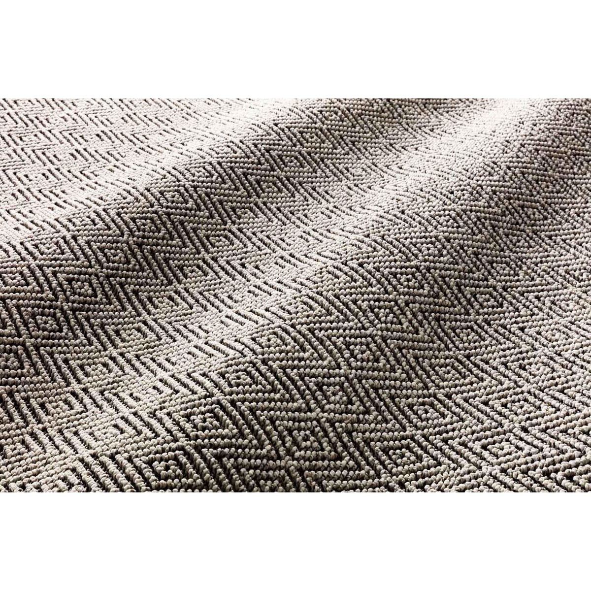 COLE COL-02 GREY / BONE