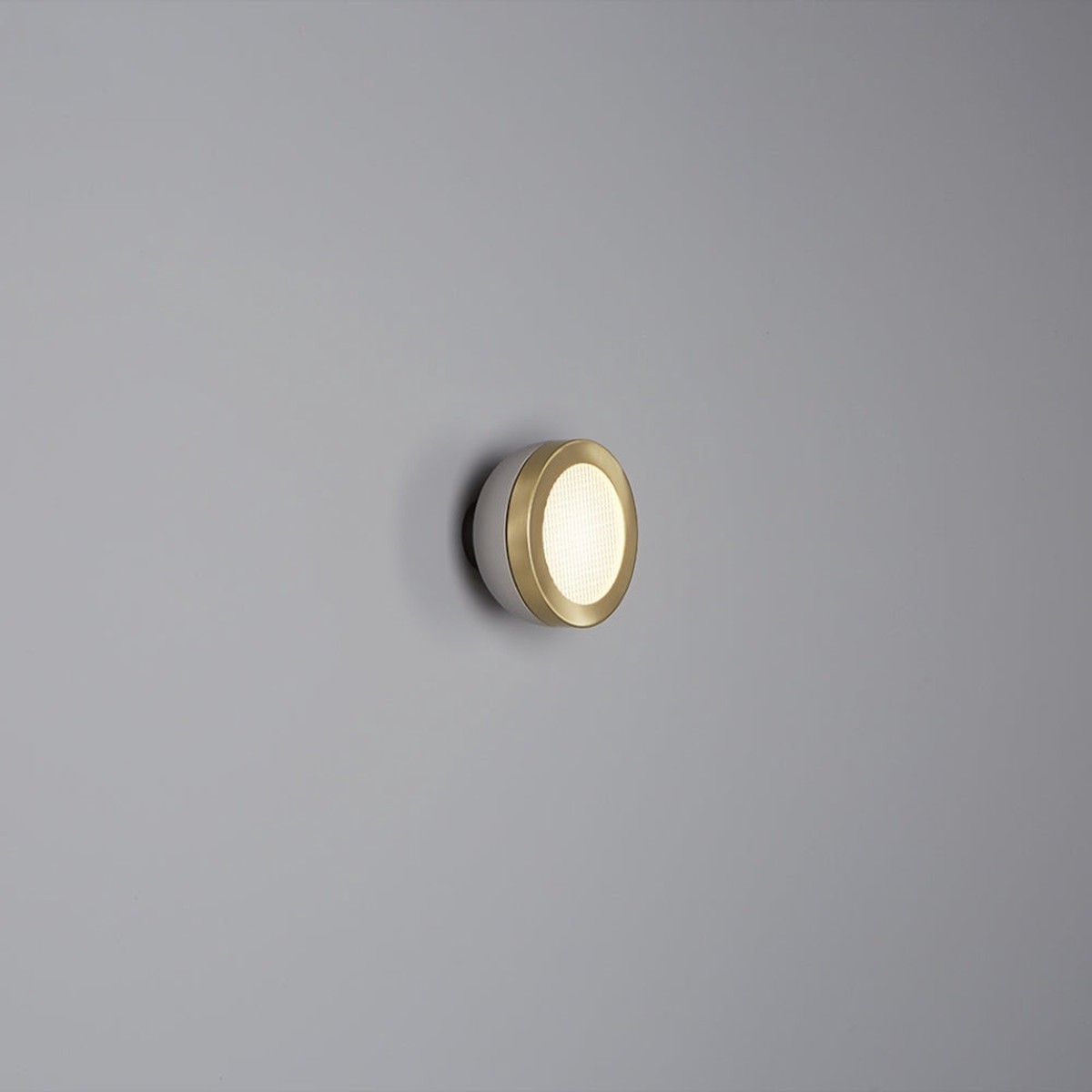 TOOY Molly Surface/Wall Light