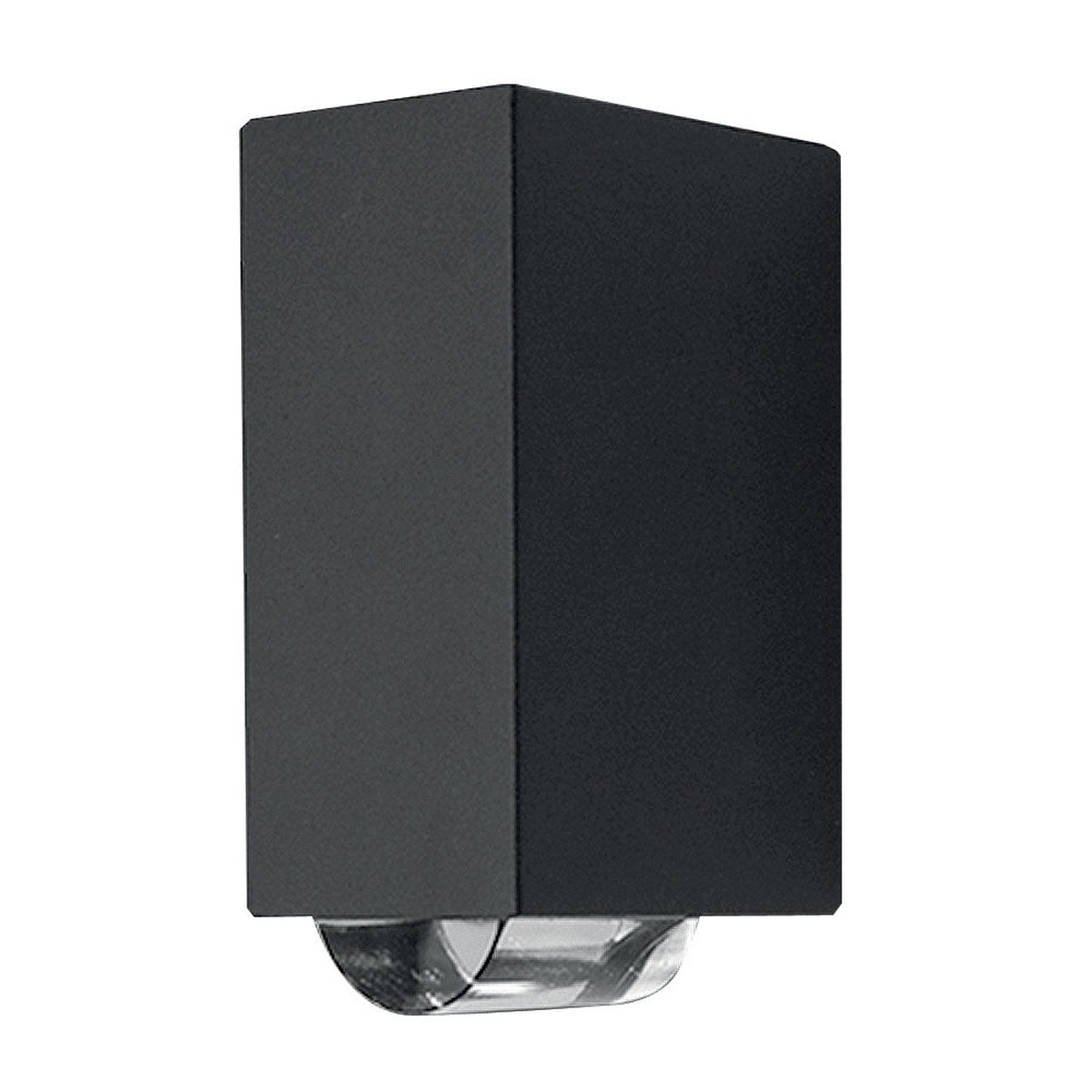 Agner Wall Light Black
